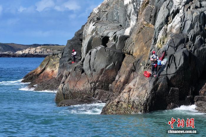 中新网莆田, bNmhd, 融合模式