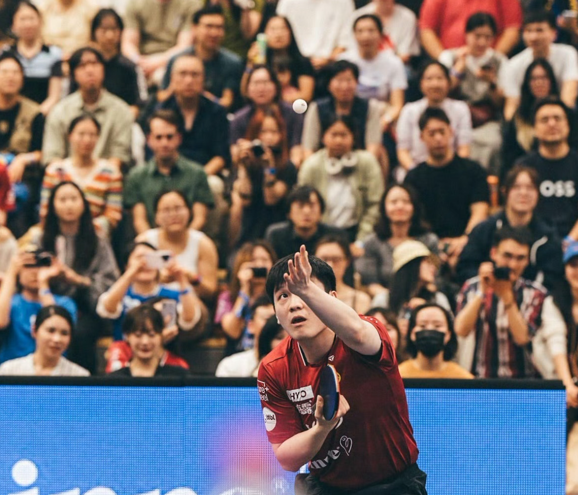 媒体将樊振 媒体将樊振